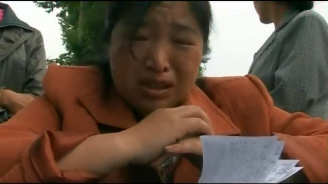 谁杀了我们的孩子 Who Killed Our Children (潘剑林 - 2008)