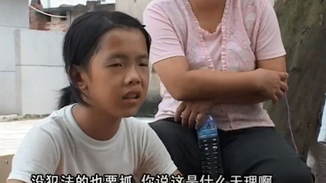 太石村 第3集：鸟投林 (艾晓明 - 2006)