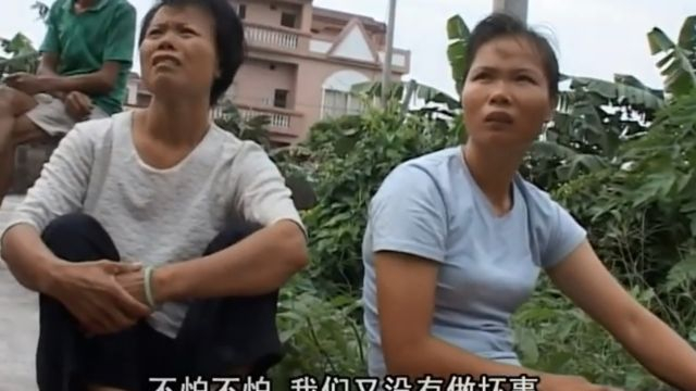 太石村 第4集：雨打芭蕉 (艾晓明 - 2006)