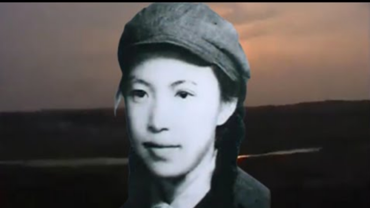 寻找林昭的灵魂 (胡杰 - 2009)