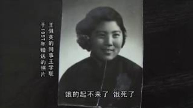 我的母亲王佩英 (胡杰 - 2011)