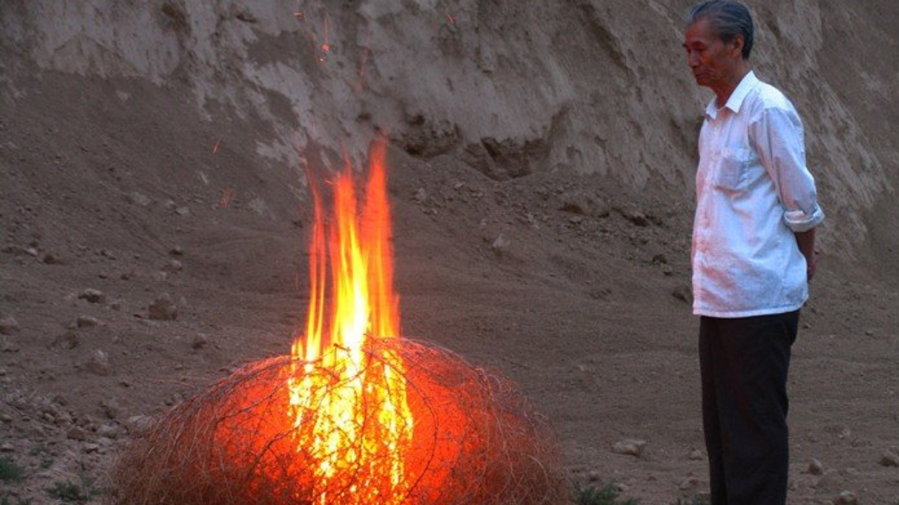 星火 Spark (胡杰 - 2013)