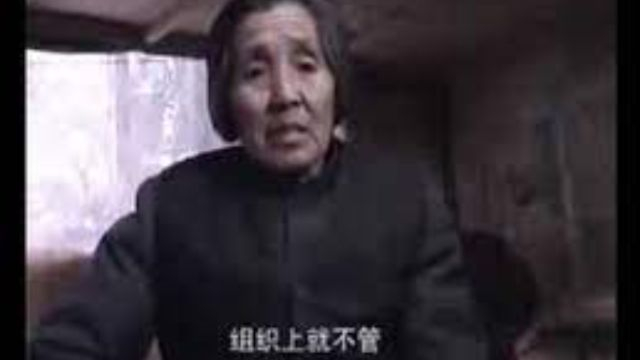 东庄 (楚望台 - 2005)