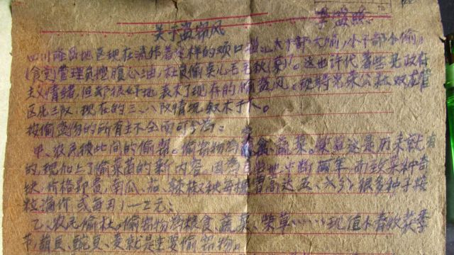 右派李盛照的饥饿报告 (谢贻卉 - 2012)