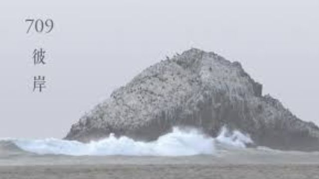 709彼岸 The Other Shore (卢敬华 - 2018)