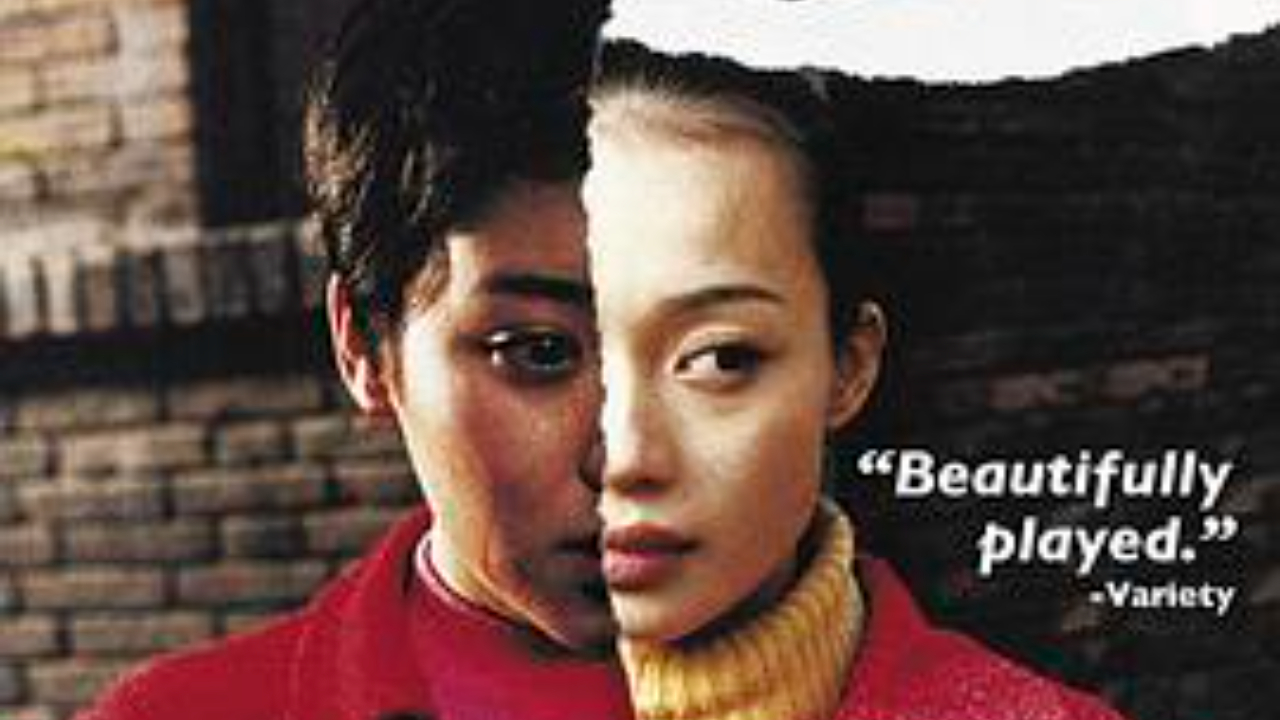 过年回家 Seventeen Years (张元 - 1999)