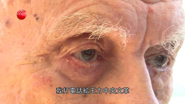 有線中國組-【文革50年專題】 (朱华强 - 2016)